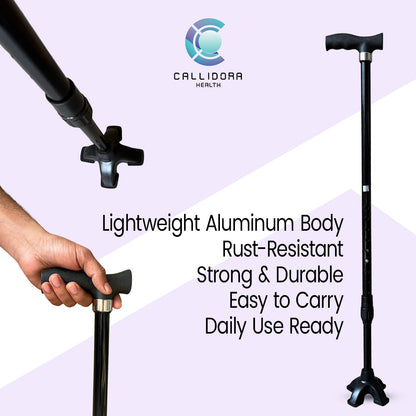 Callidora Walking Stick