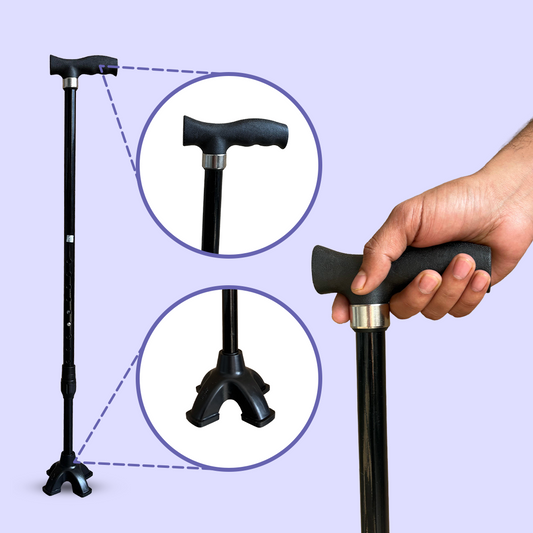 Callidora Walking Stick
